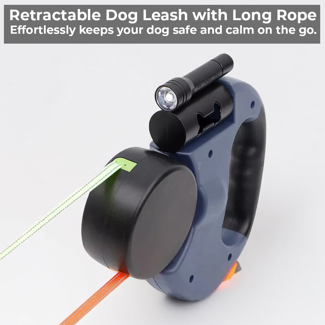 Twin Tangle-Free Dog Leash Set